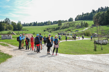 leskovec (1)